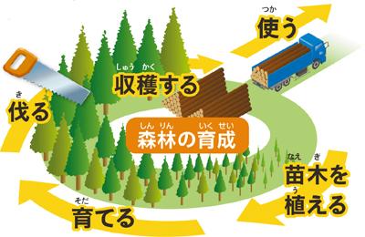 森林の育成