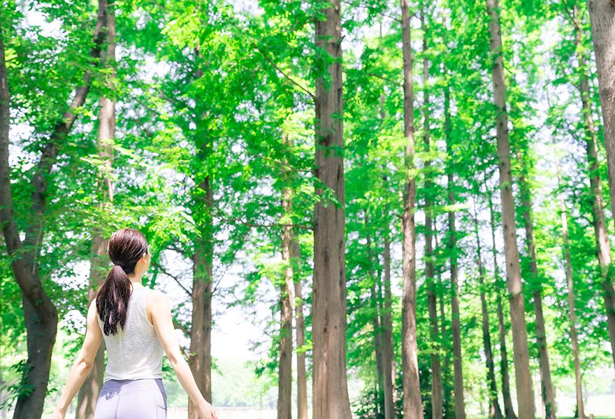 木の香りの人体への作用・癒し効果
