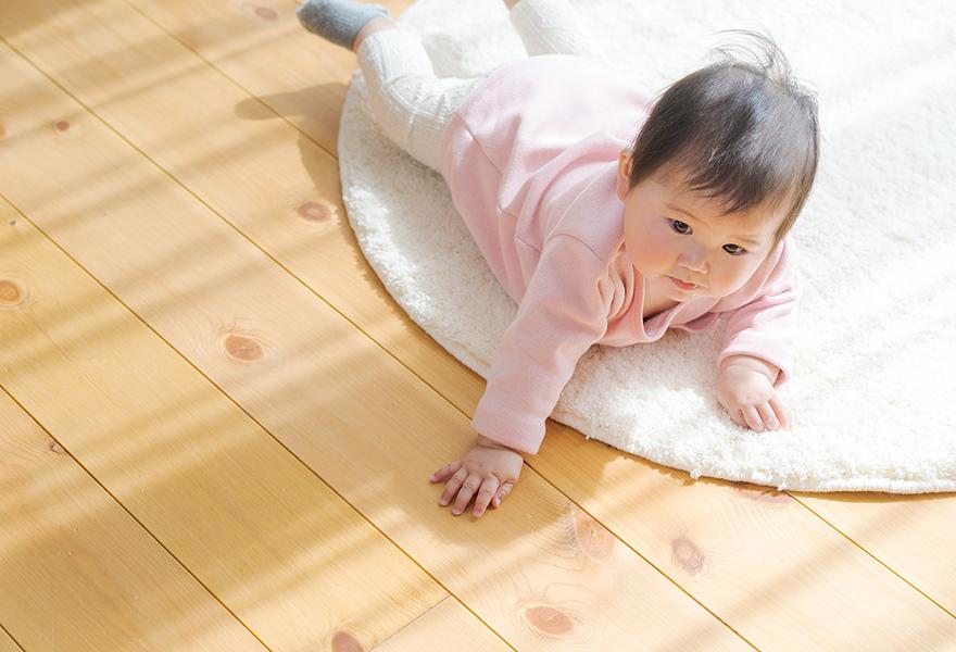 木の香りの人体への作用・癒し効果